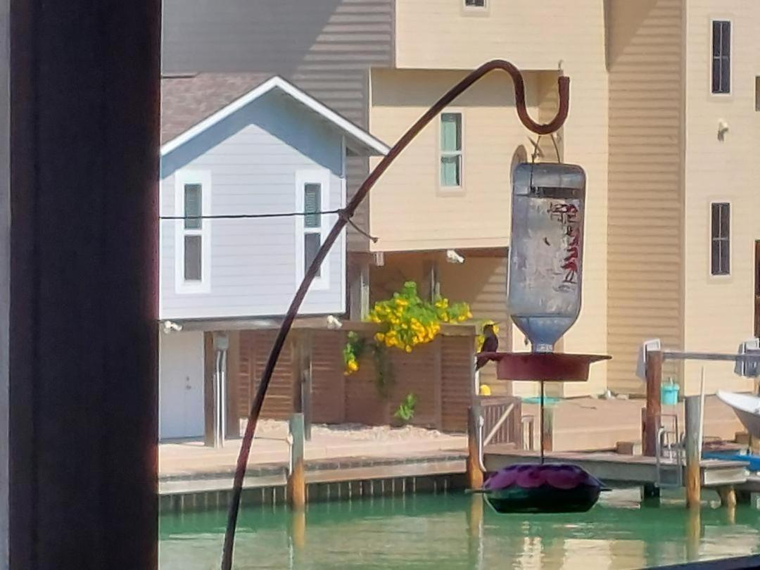 Bay Tree B5 Villa Port Aransas Ngoại thất bức ảnh